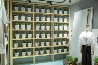 沪上文艺实验室揭牌 以文化经纪人服务为引擎，开启文创产业跨界探索新篇章